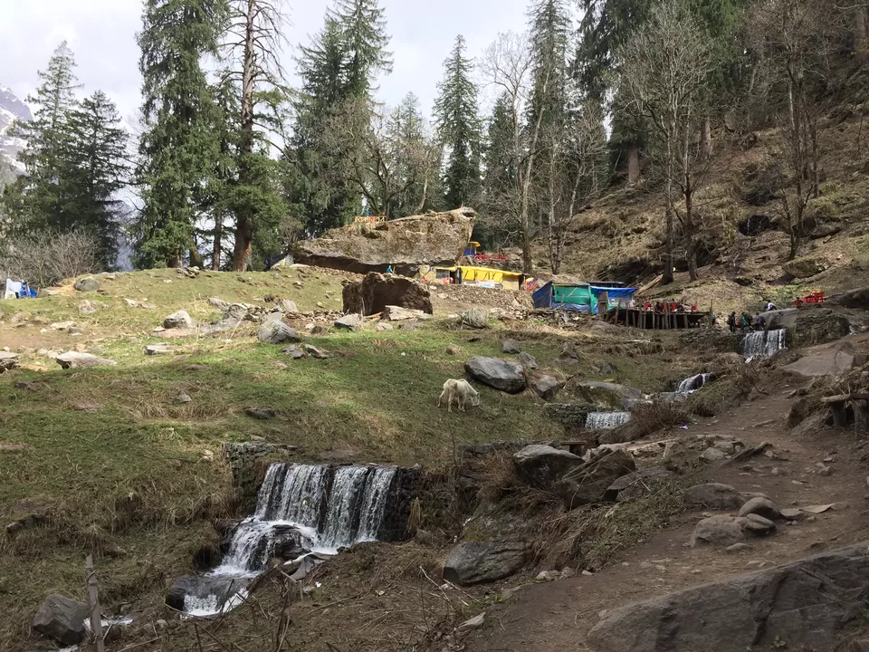 Photo of Kheerganga: A Trek Not To Miss. by The Young Monk