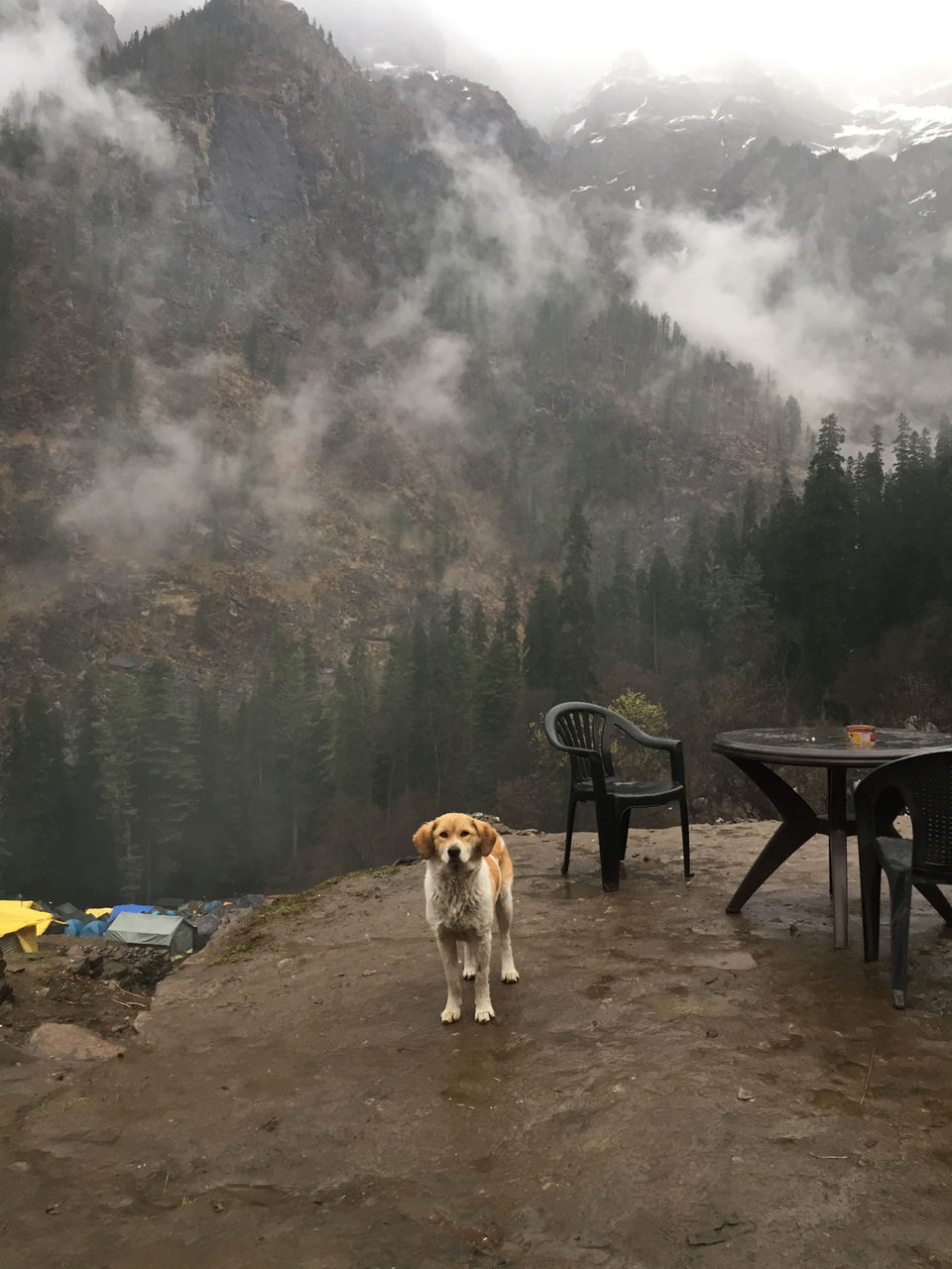 Photo of Kheerganga: A Trek Not To Miss. by Ravinder Bishnoi