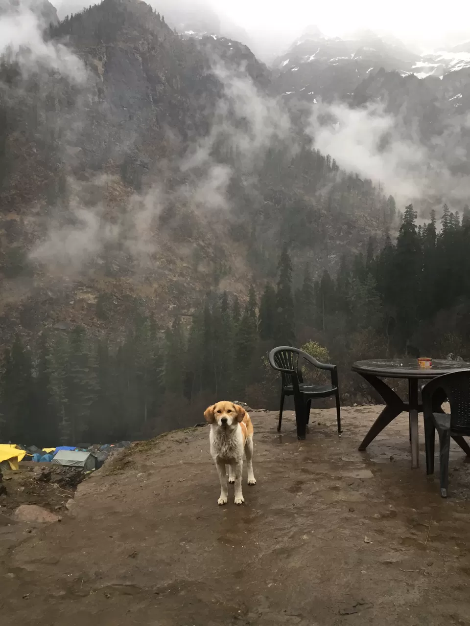 Photo of Kheerganga: A Trek Not To Miss. by The Young Monk