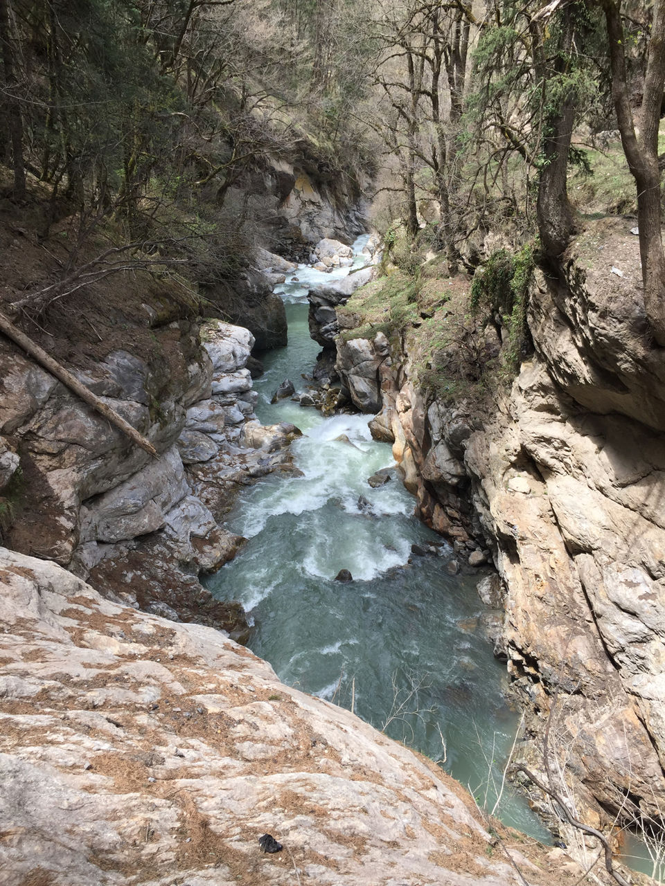 Photo of Kheerganga: A Trek Not To Miss. by Ravinder Bishnoi