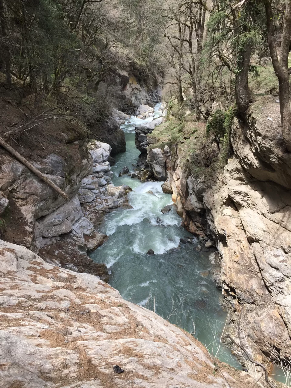 Photo of Kheerganga: A Trek Not To Miss. by The Young Monk