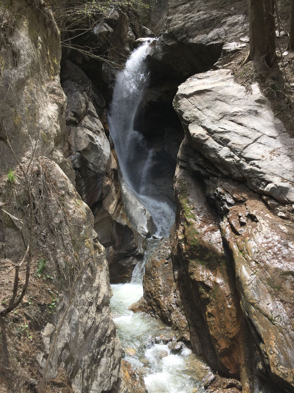 Photo of Kheerganga: A Trek Not To Miss. by Ravinder Bishnoi