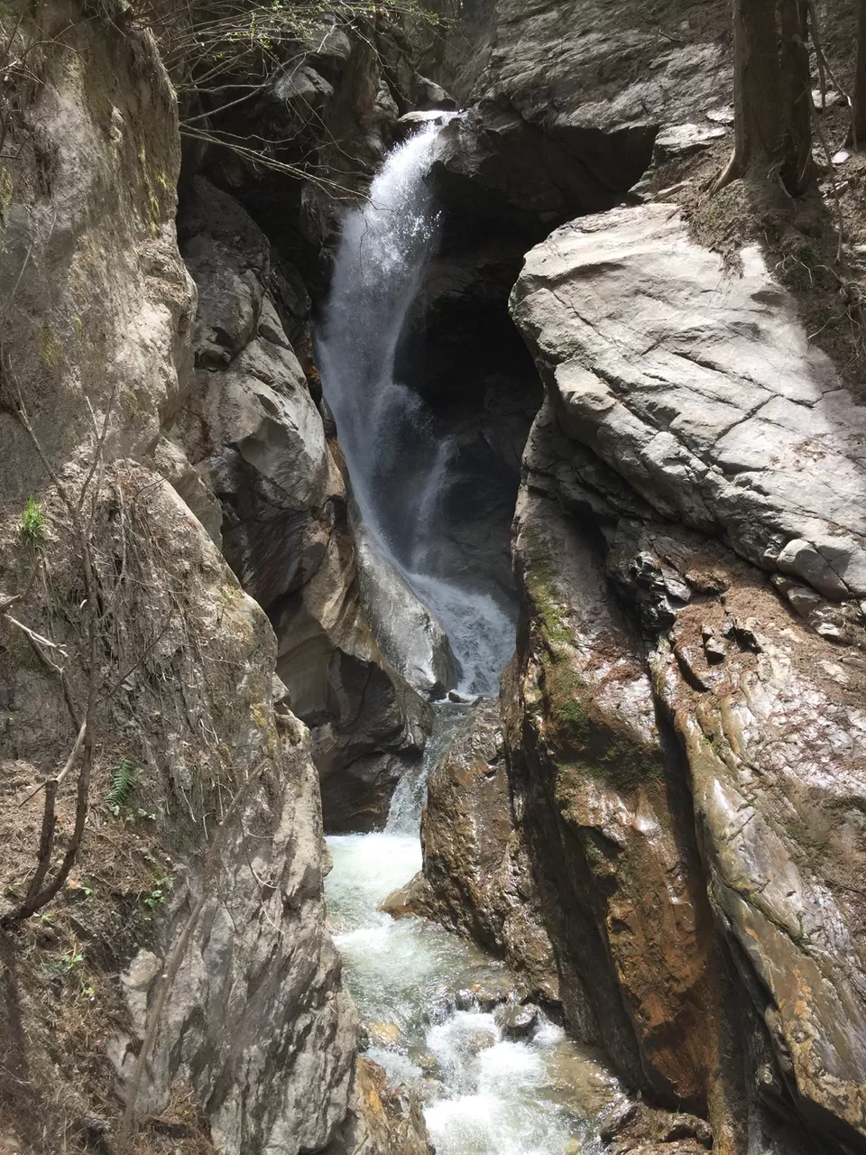 Photo of Kheerganga: A Trek Not To Miss. by The Young Monk