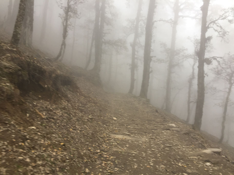 Photo of Trek To Serolsar Lake: A Less Explored Beauty. by Ravinder Bishnoi