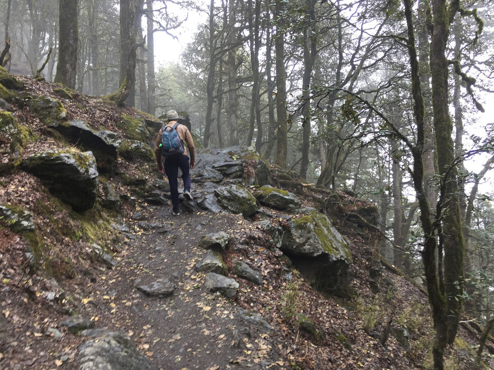 Photo of Trek To Serolsar Lake: A Less Explored Beauty. by Ravinder Bishnoi
