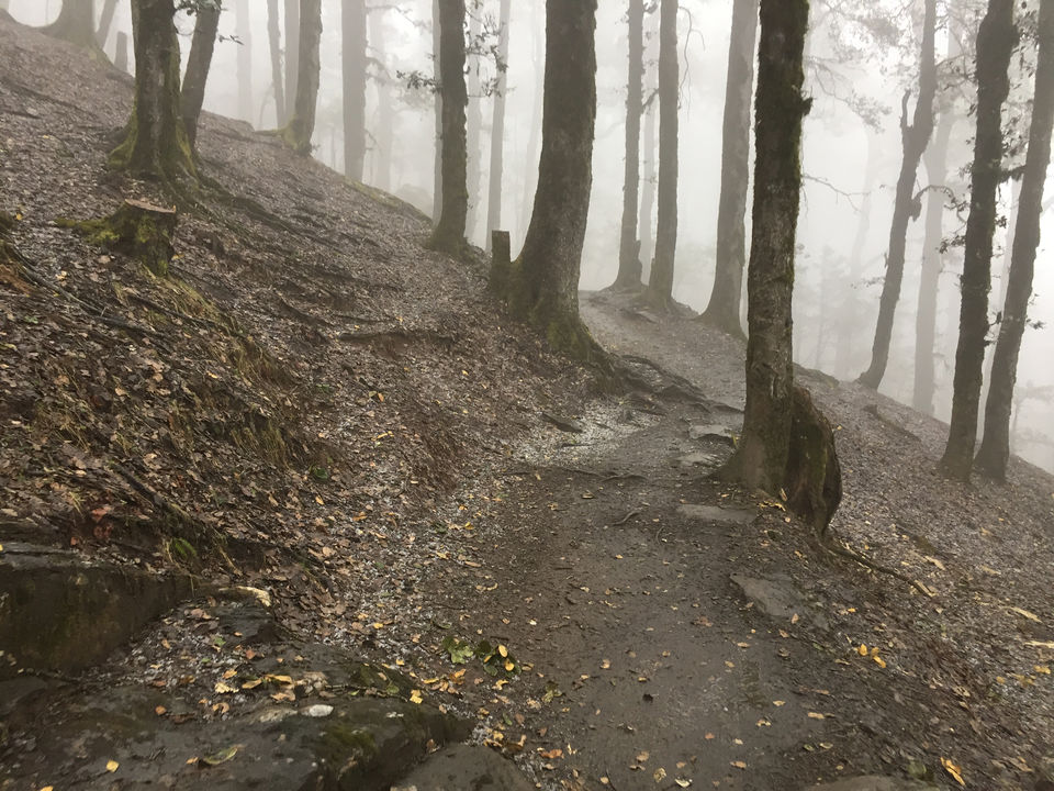 Photo of Trek To Serolsar Lake: A Less Explored Beauty. by Ravinder Bishnoi