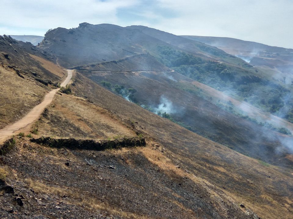 Photo of Chikmagalur on a Motorcycle by Aravind Kashyap