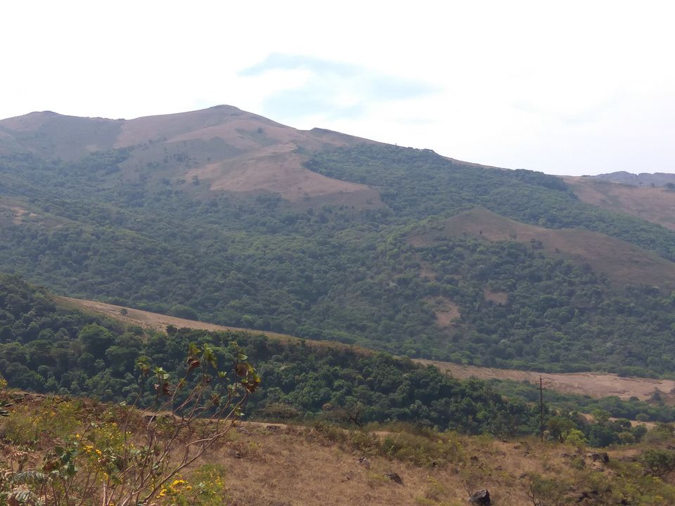 Photo of Chikmagalur on a Motorcycle by Aravind Kashyap