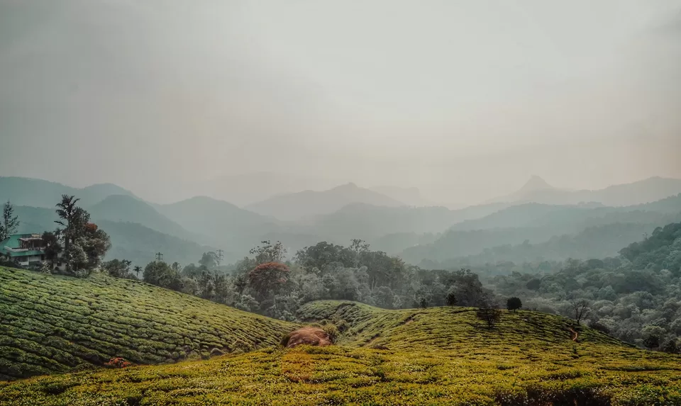 Photo of Best Places to Visit in Coorg by Sakshi Nahar Dhariwal