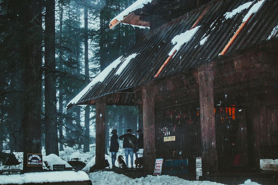 Photo of Best Season to Witness Snowfall in Manali by Sakshi Nahar Dhariwal