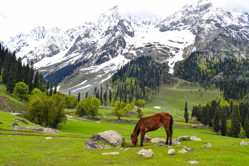 Photo of 15 Most Beautiful Places To Visit in Kashmir by Sakshi Nahar Dhariwal