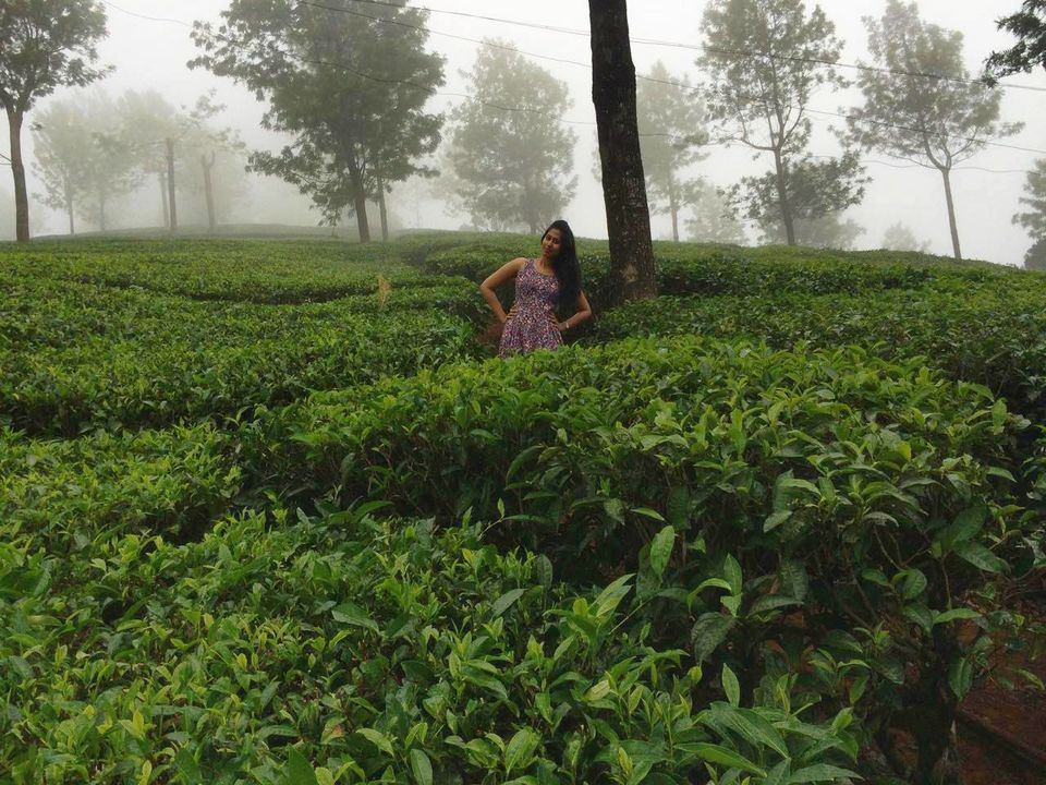 Photo of Theni, Tamil Nadu, India by goutami90