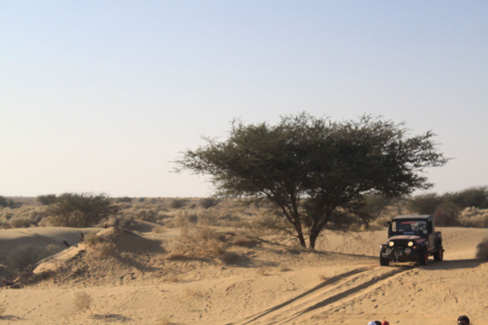 Photo of Royal Escape - Rajasthan 18/32 by Sumit Vaswani