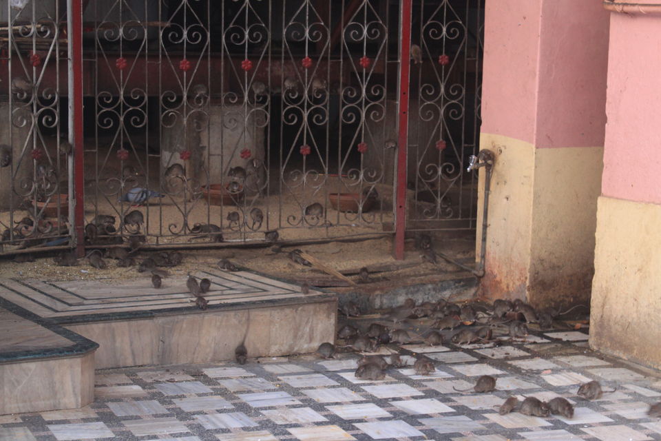 Photo of Royal Escape - Rajasthan 31/32 by Sumit Vaswani