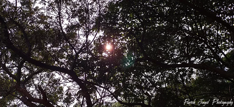 Photo of Biodiversity Park, East Point Colony, Pedda Waltair, Vizag, Andhra Pradesh, India by Himani Nandwana