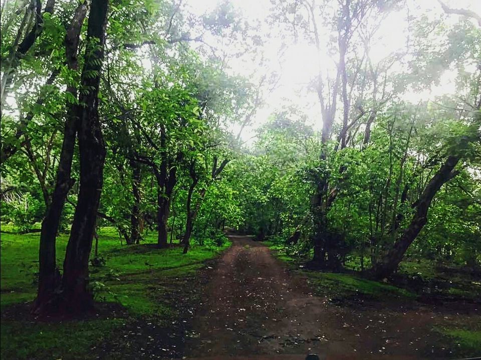 Photo of An unexpected ride to Ananthagiri by Avinash Kumar