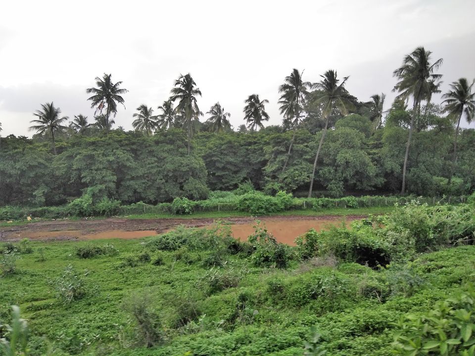 Photo of A day trip to Daman by Avinash Kumar