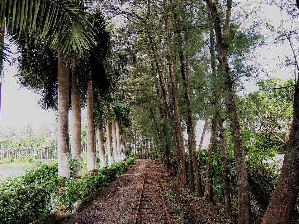 Photo of A day trip to Daman by Avinash Kumar