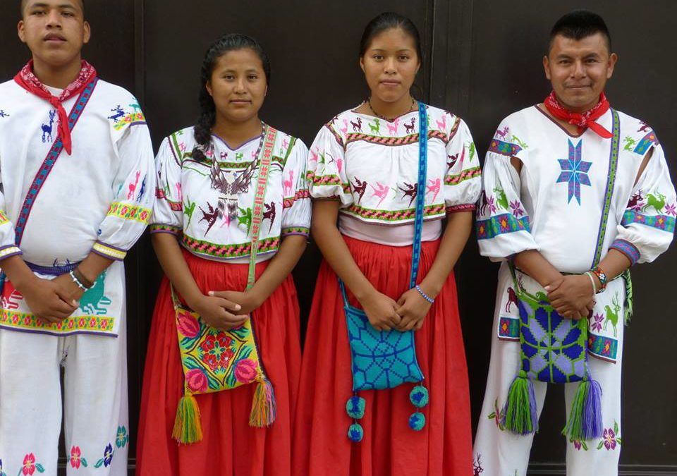 Photo of 7 Unusual Ways to Experience Puerto Vallarta 1/1 by ariel