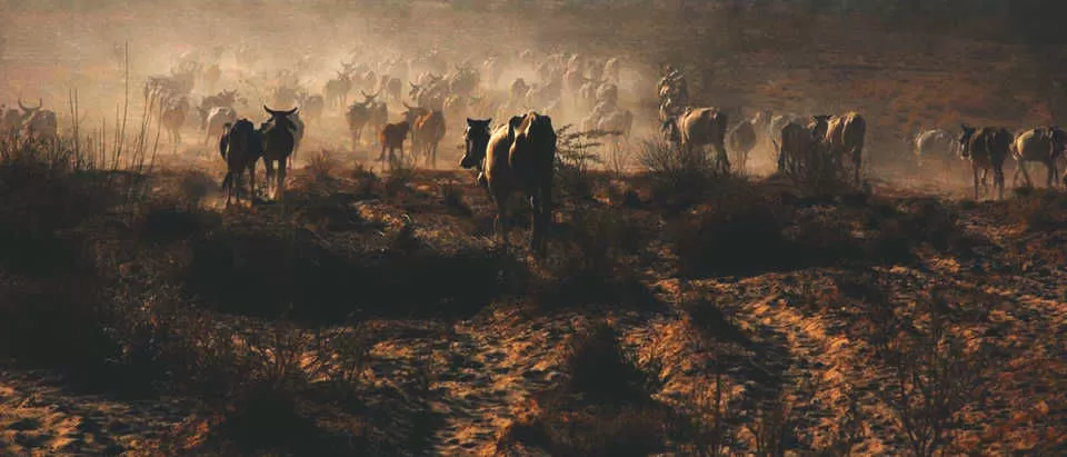 Photo of बाड़मेर, Rajasthan, India by gunjan upreti