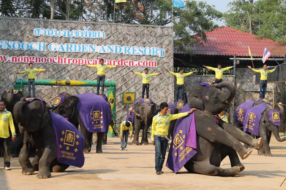 Photo of Nong Nooch Village and Tropical Garden Pattaya Thailand by Endless Voyages
