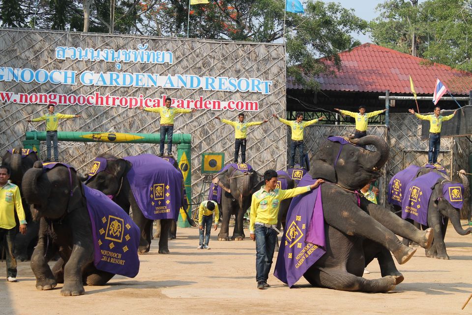Photo of Four Days in Captivating Pattaya 3/24 by Endless Voyages