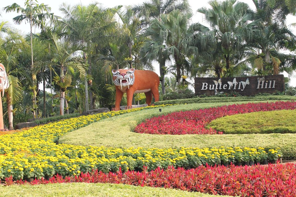 Photo of Four Days in Captivating Pattaya 4/24 by Endless Voyages