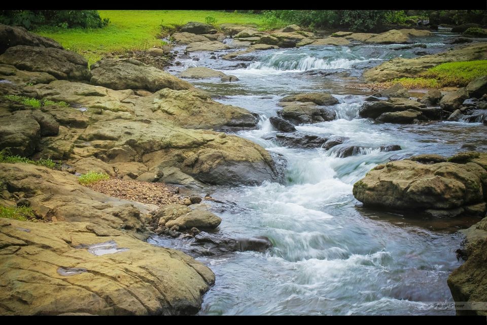 Photo of Breathtaking trek to Bhimashankar 2/8 by Jarvis