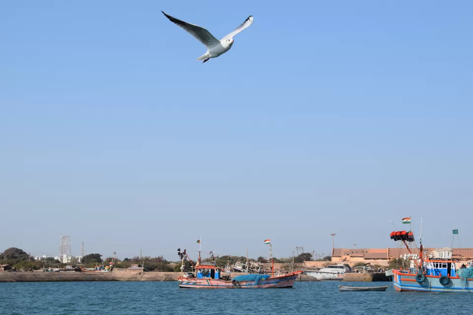 Photo of Dwarka, Gujarat, India by surekhaprabhu