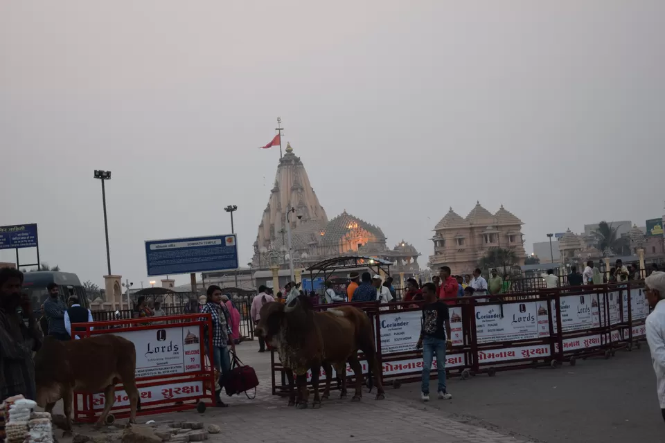 Photo of Somnath, Gujarat, India by surekhaprabhu