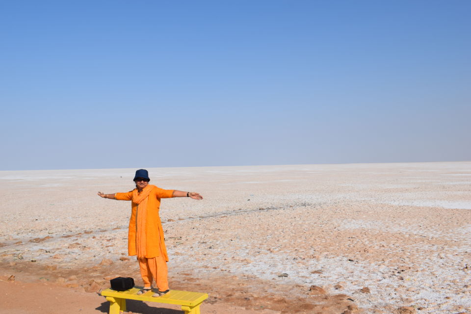 Photo of Blissful trip to Duuwarika, Somnathji and Kutch (Part 2) by surekhaprabhu