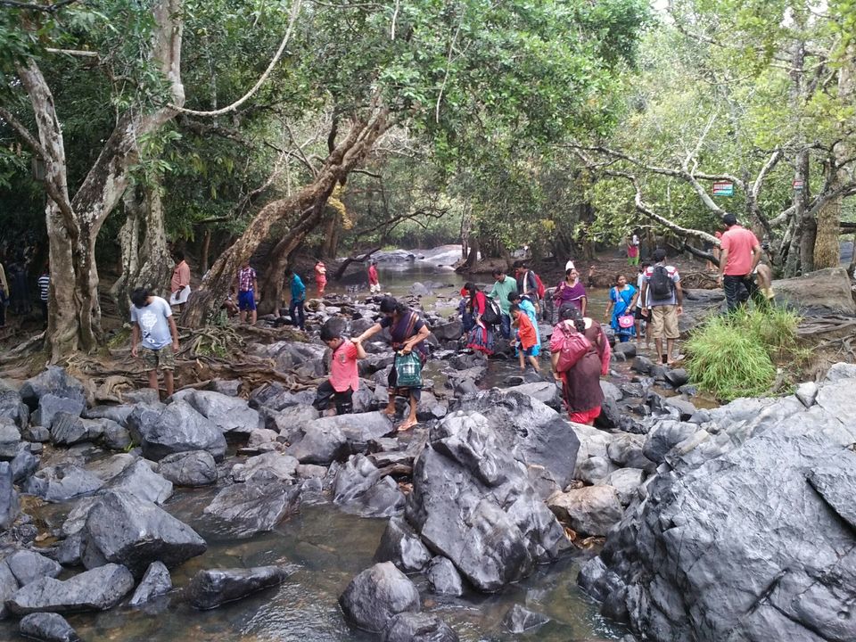 Photo of Wayanad: A perfect blend Anyone can Ask for. by Viraat Yashvardhan