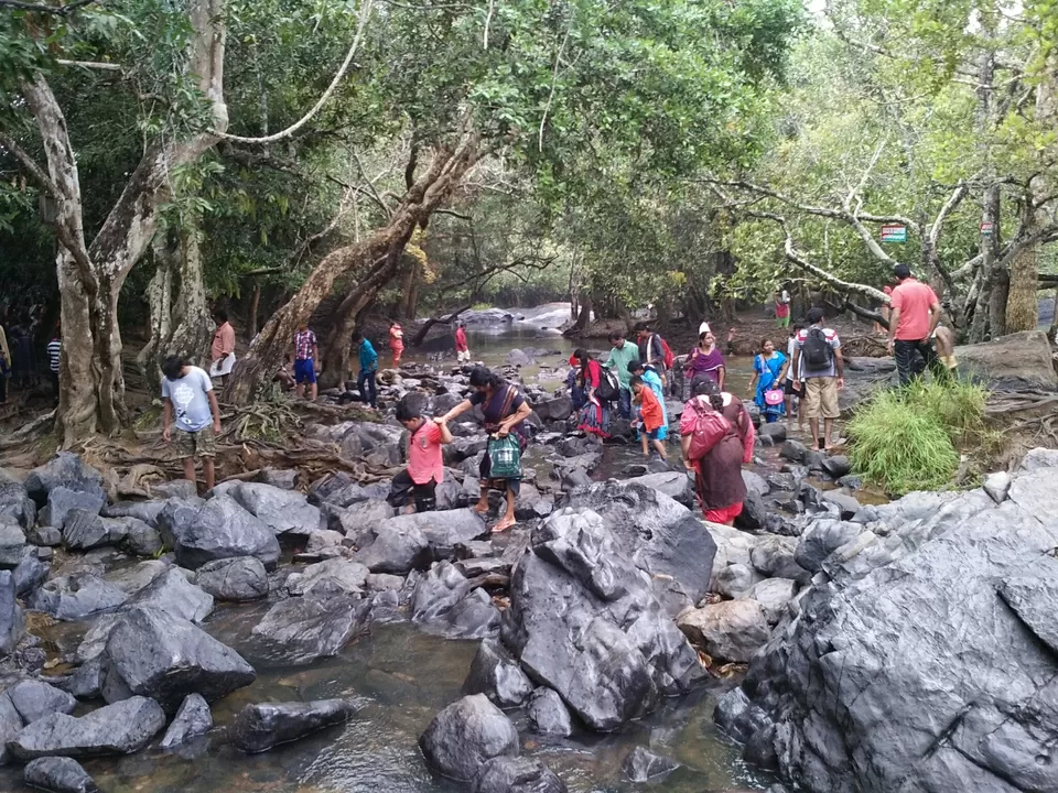 Photo of Wayanad: A perfect blend Anyone can Ask for. by Viraat Yashvardhan