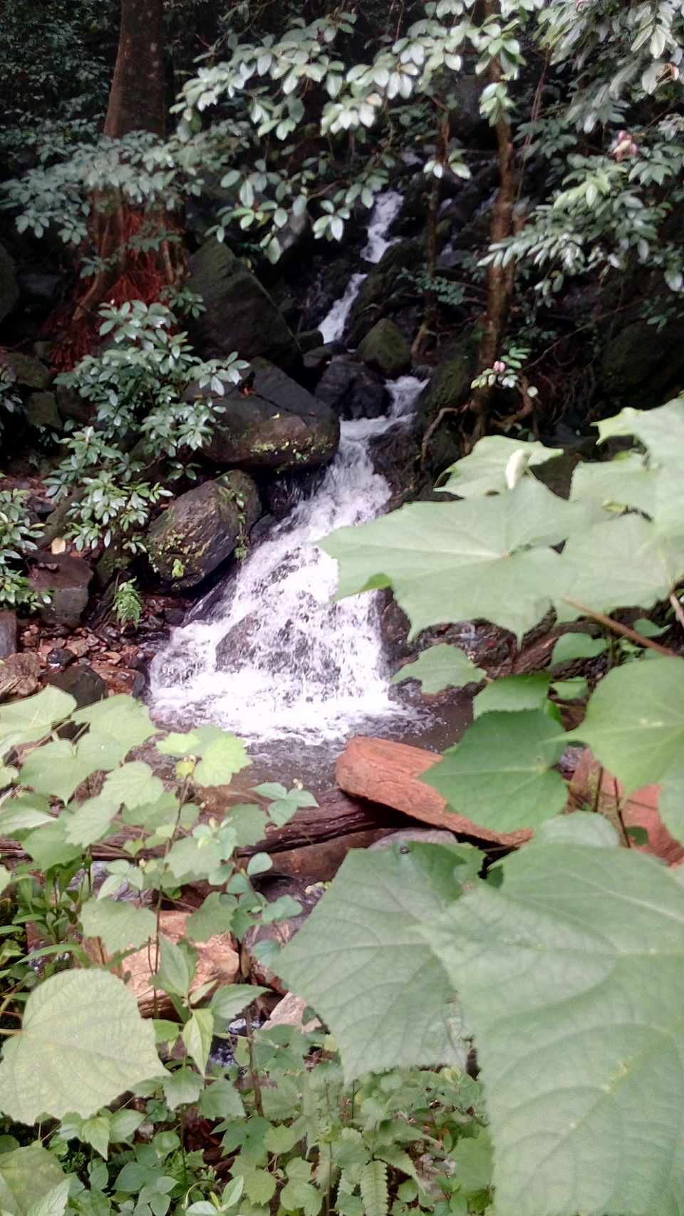 Photo of "Ride in the rain" through western ghats.. part- 1 by Viraat Yashvardhan