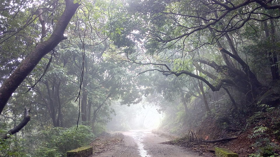 Photo of "Ride in the rain" through western ghats.. part- 1 by Viraat Yashvardhan