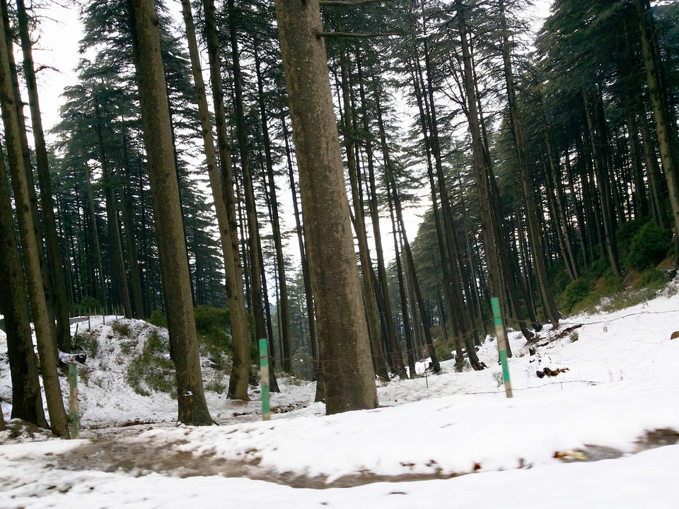 Photo of Patnitop by Saurabh Ghosh
