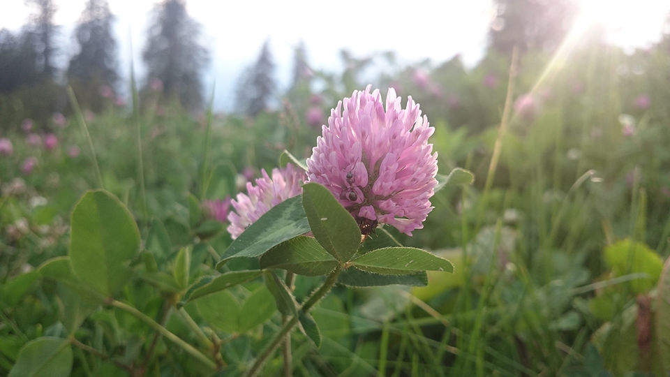 Photo of What I discovered during my trekking trip to "Hampta Pass"! by milan patel