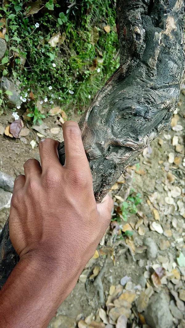 Photo of What I discovered during my trekking trip to "Hampta Pass"! by milan patel