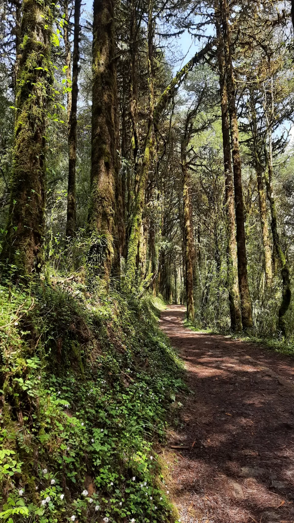 Photo of Okhrey by Nivedita Singh