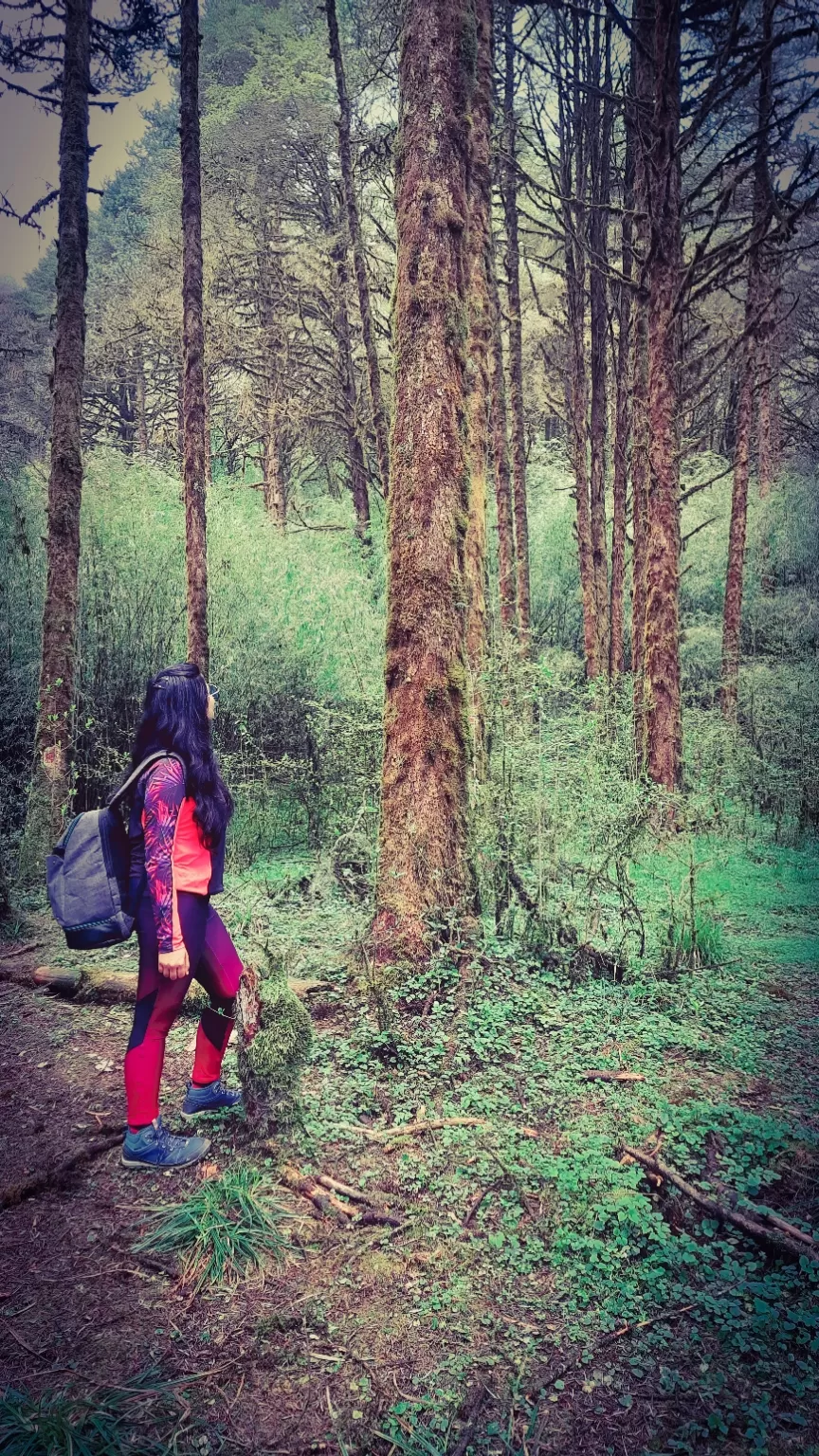 Photo of Okhrey by Nivedita Singh