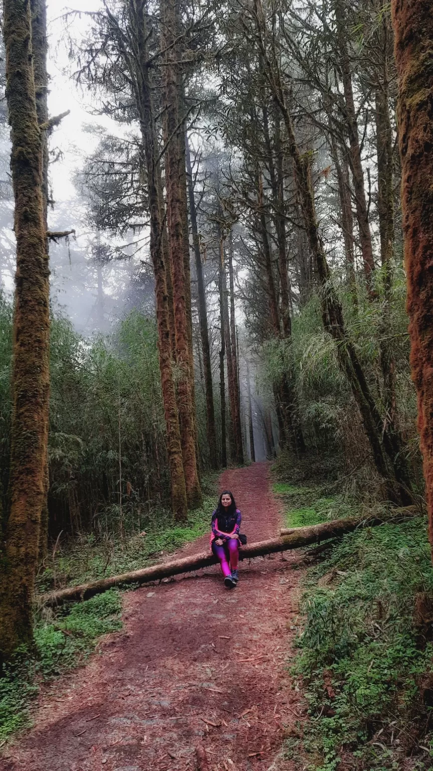 Photo of Okhrey by Nivedita Singh