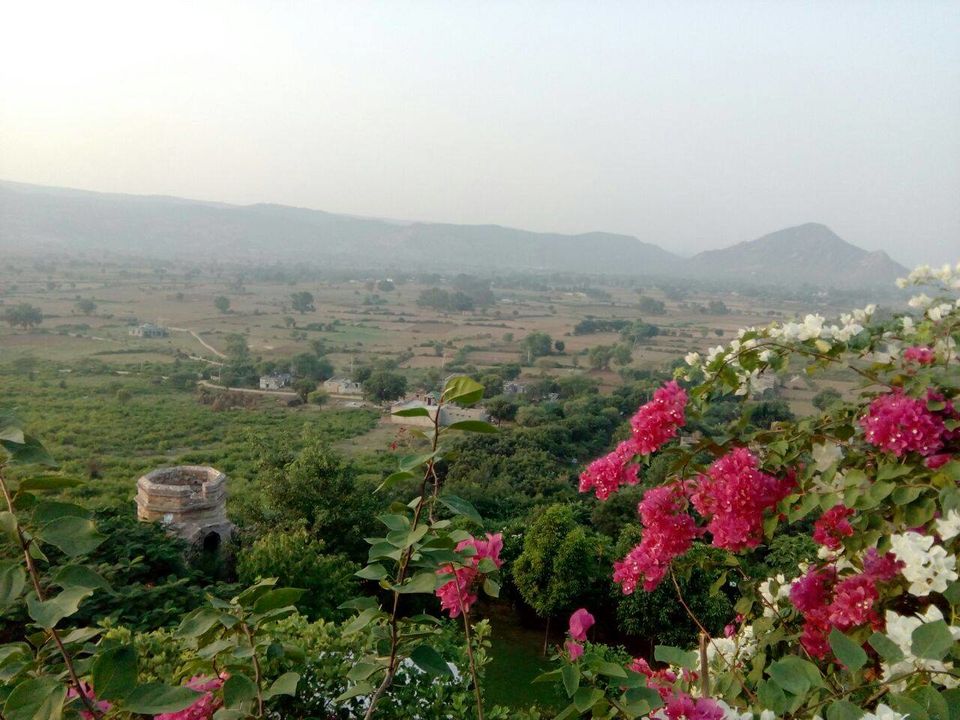 Photo of Alwar - Paradise for Heritage monuments & relaxed weekend. 2/31 by Supaviter Singh