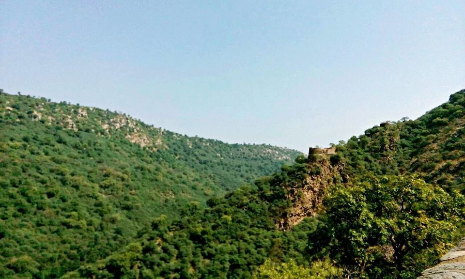Photo of Alwar - Paradise for Heritage monuments & relaxed weekend. 9/31 by Supaviter Singh