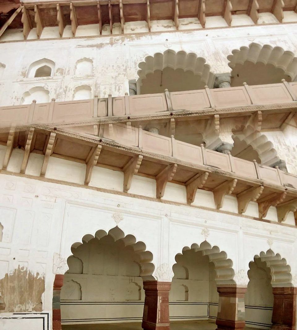Photo of Alwar - Paradise for Heritage monuments & relaxed weekend. 10/31 by Supaviter Singh