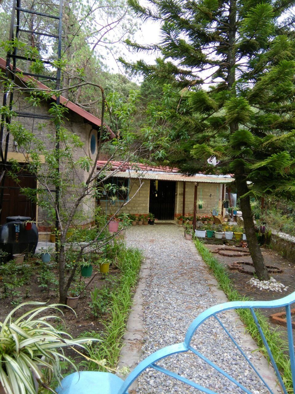 Photo of Weekend getaway trip to Peaceful Lansdowne, Haridwar and Rishikesh by Supaviter Singh