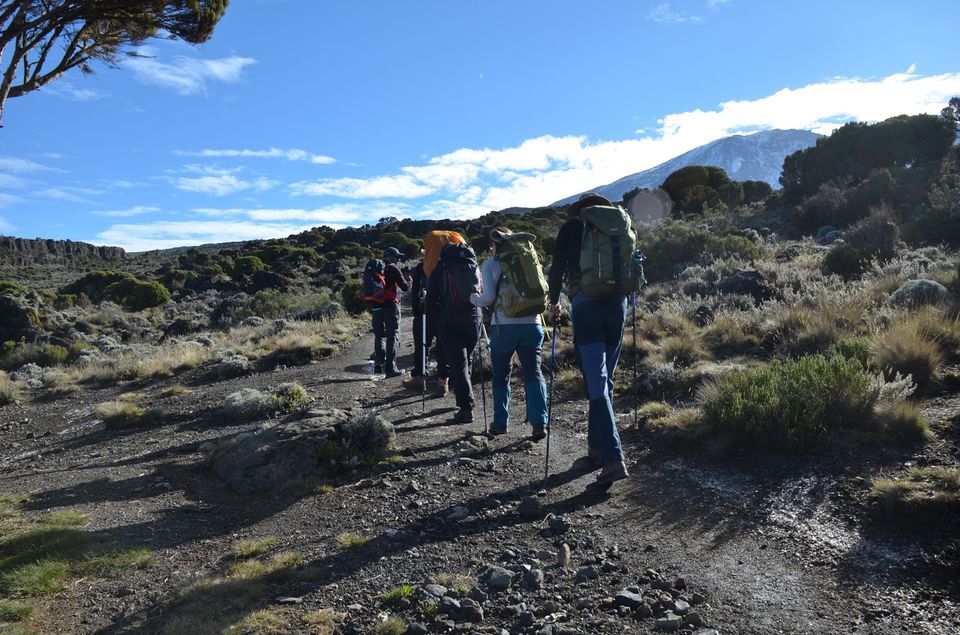 Photo of Barranco Camp, Tanzania by Nakul Singh