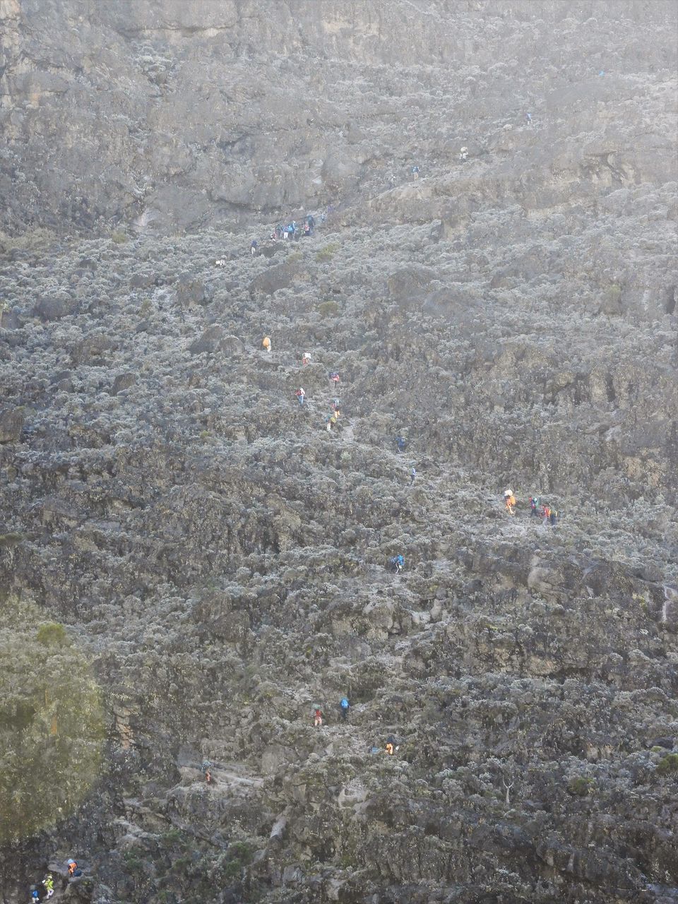 Photo of Karanga Camp, Tanzania by Nakul Singh