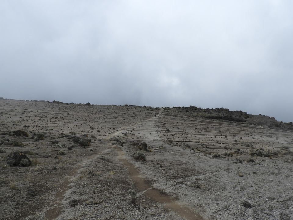 Photo of Climbing Mt. Kilimanjaro via 7 days Machame route and 2 days Tanzanian wildlife safari by Nakul Singh