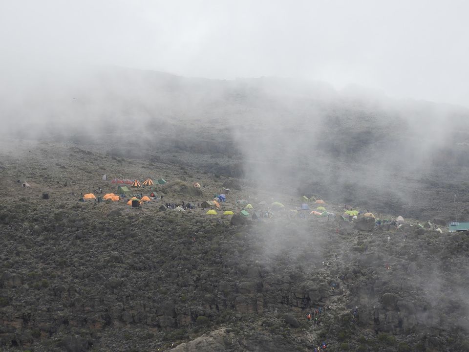 Photo of Climbing Mt. Kilimanjaro via 7 days Machame route and 2 days Tanzanian wildlife safari by Nakul Singh