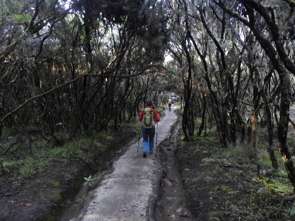 Photo of Moshi, Tanzania by Nakul Singh
